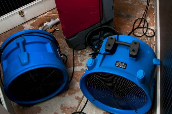 Mold Remediation Services Mold Remediation Services